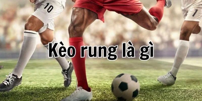 Đôi nét về kèo rung cho thành viên mới tham gia cược