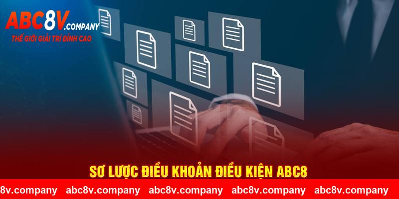 Sơ lược điều khoản điều kiện ABC8